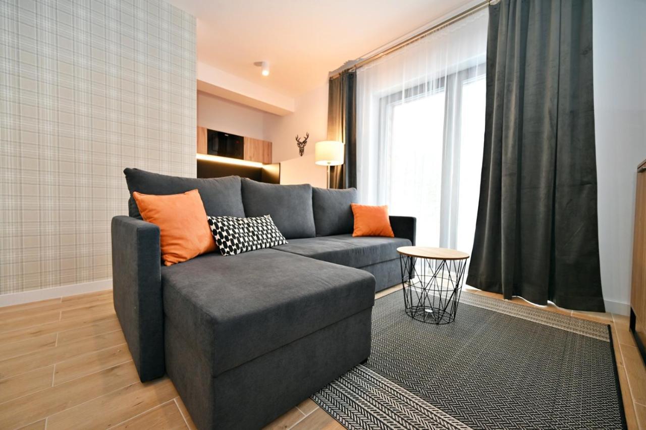 Malinova 36 Apartment Wisla Bagian luar foto