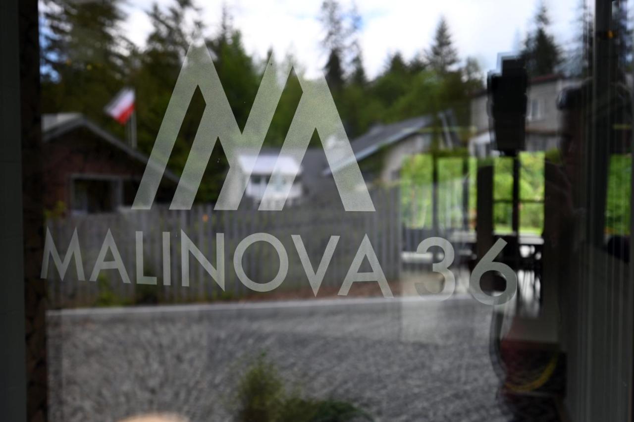 Malinova 36 Apartment Wisla Bagian luar foto