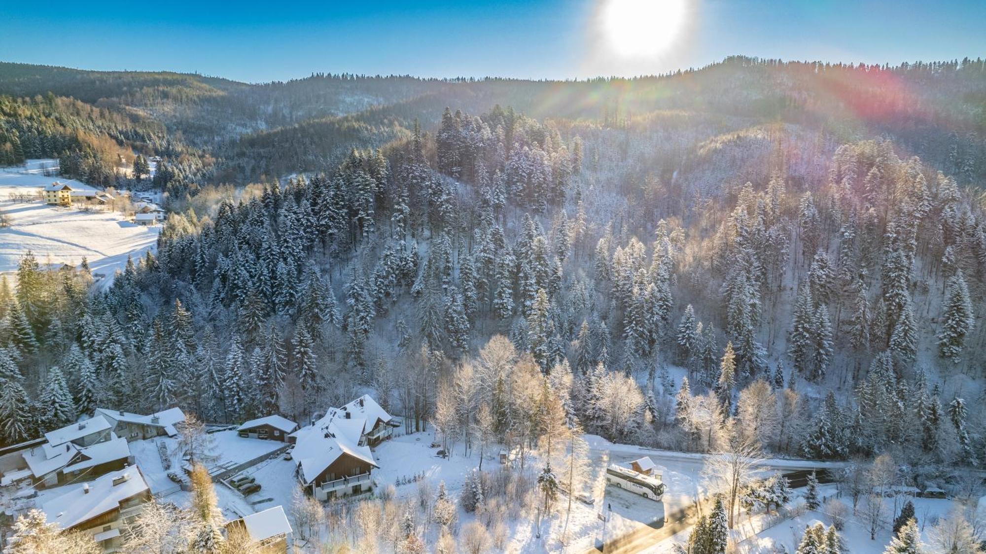 Malinova 36 Apartment Wisla Bagian luar foto